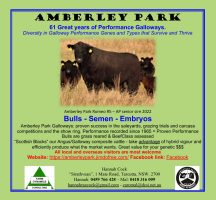 Amberley Park