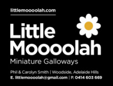 Little Moooolah